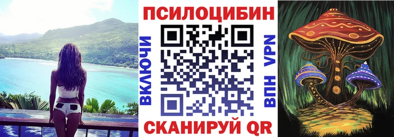 Купить где  Советский  Псилоцибиновые грибы Cubensis 